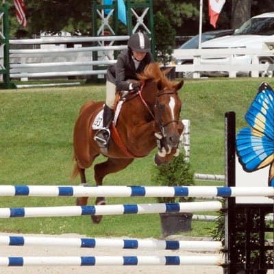 Willoway Farm, Scottsdale, Arizona- Specializing in Hunters, Jumpers and Equitation